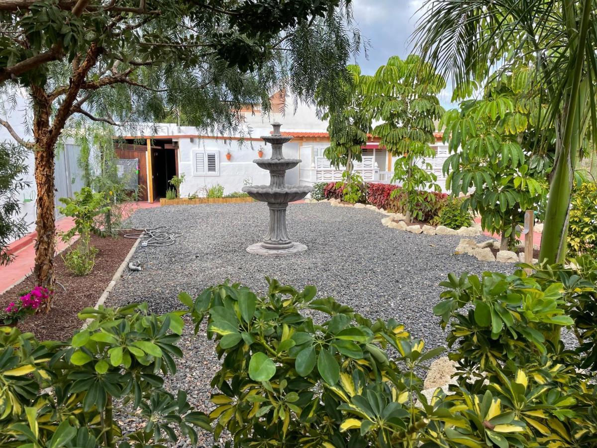 Casitas Rurales Amador Villa Арона Екстериор снимка